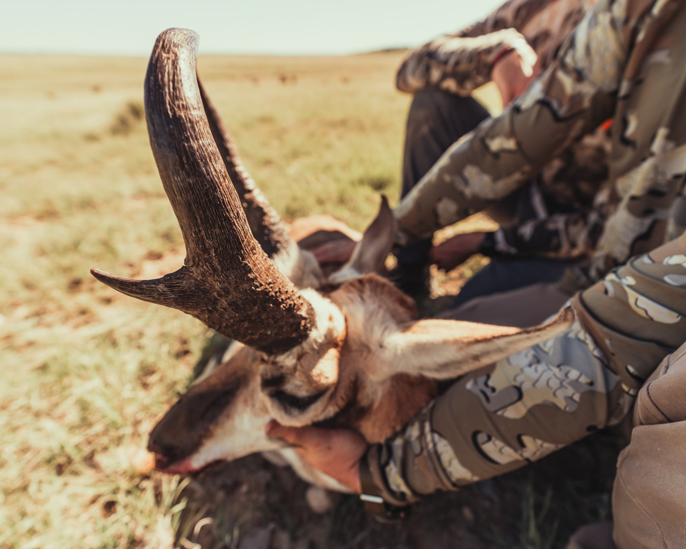 INTRODUCING A NEW HUNTER: A Short Story