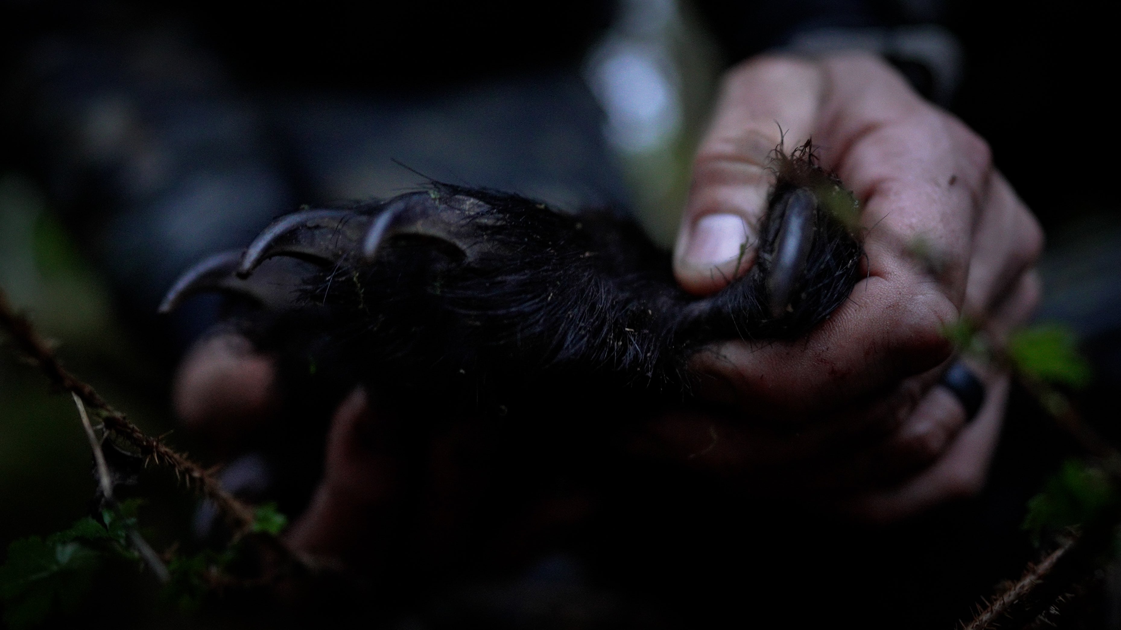 Bear Hunting Gear List Spring 2025 | KIFARU