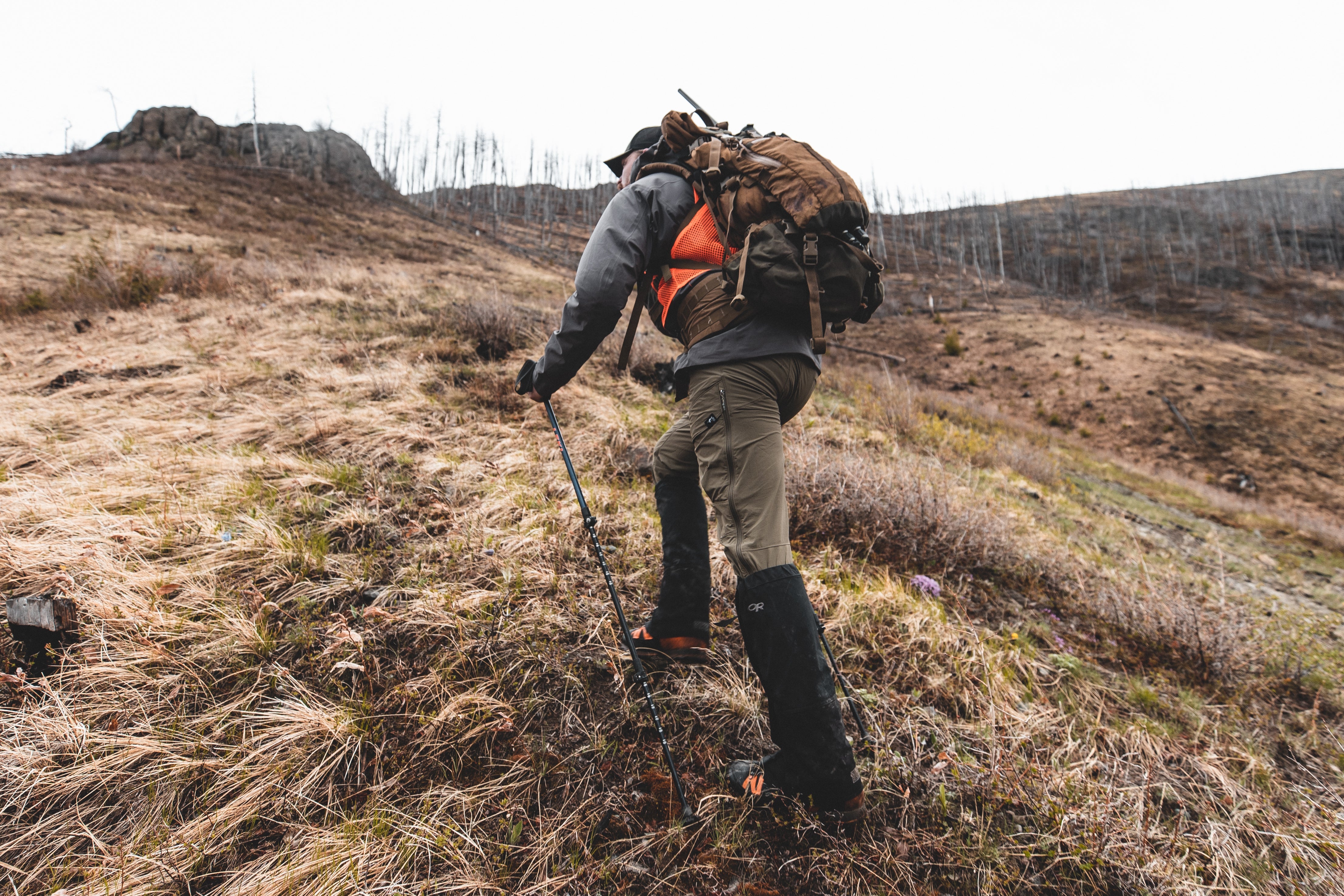 SPRING BEAR ESSENTIALS