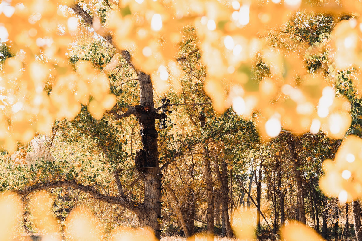 Limited Drop: Mossy Oak Fall Foliage Shape Charge Combo