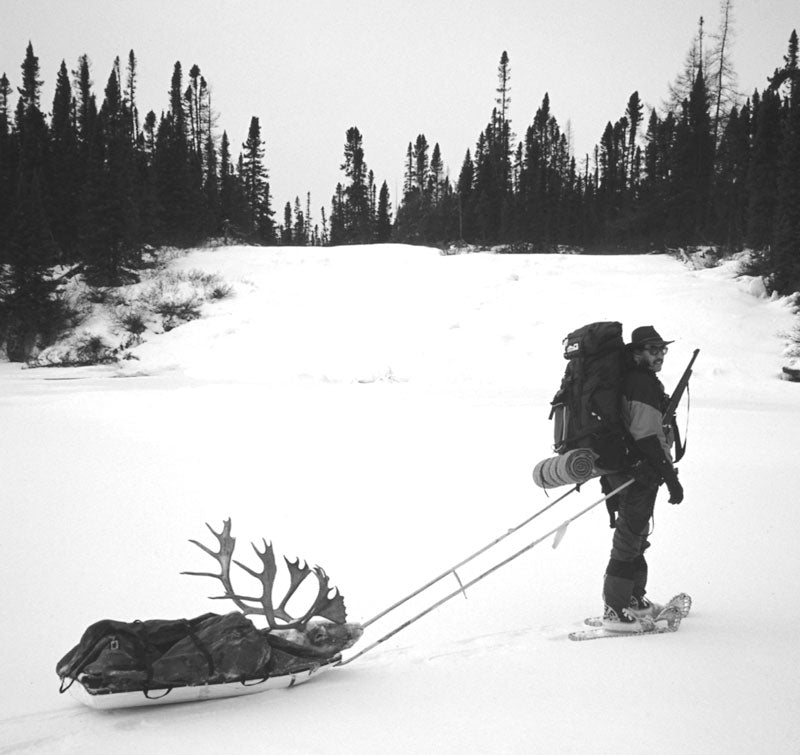 Backcountry Armadillo Sleds