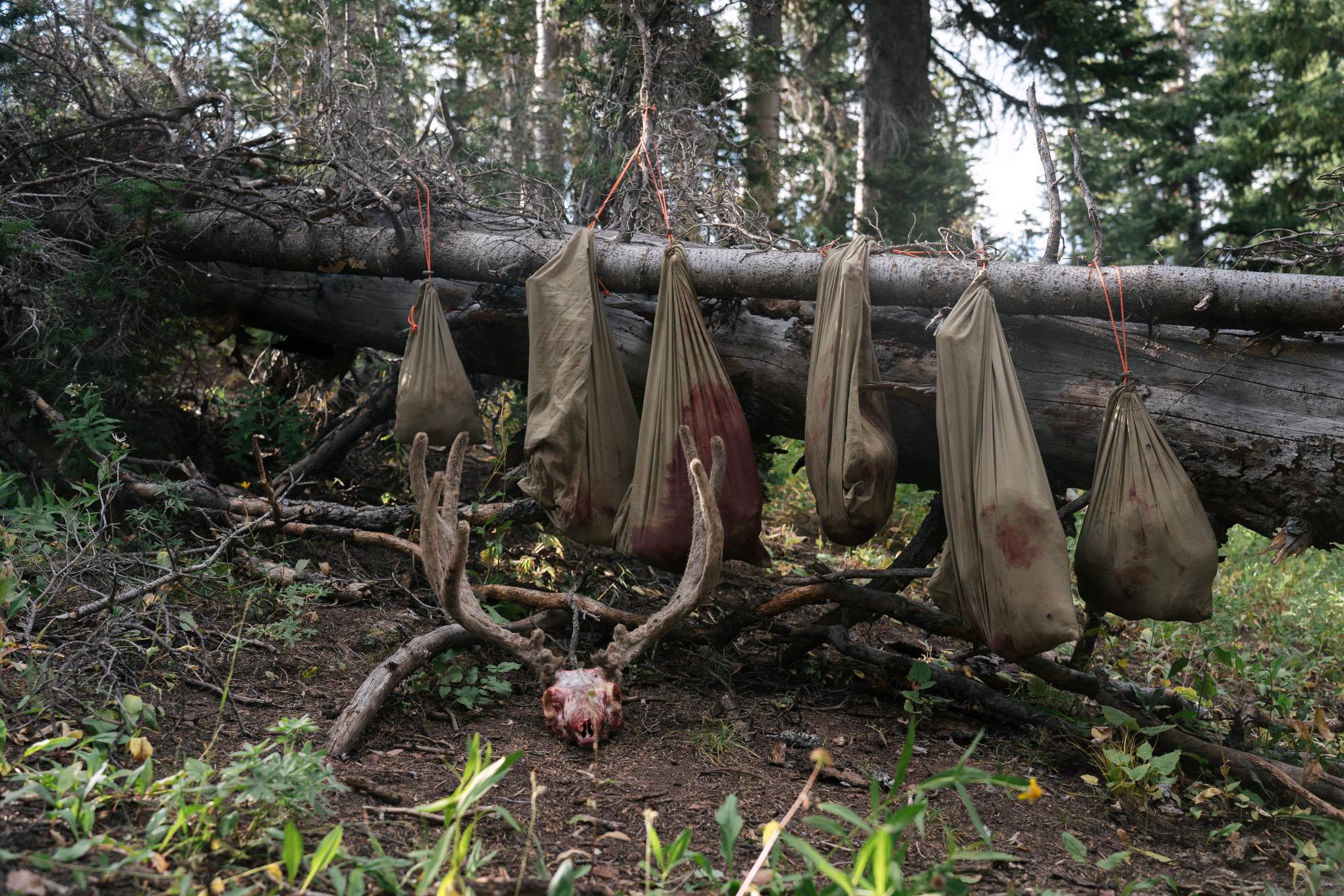 Field - to - Table Tips