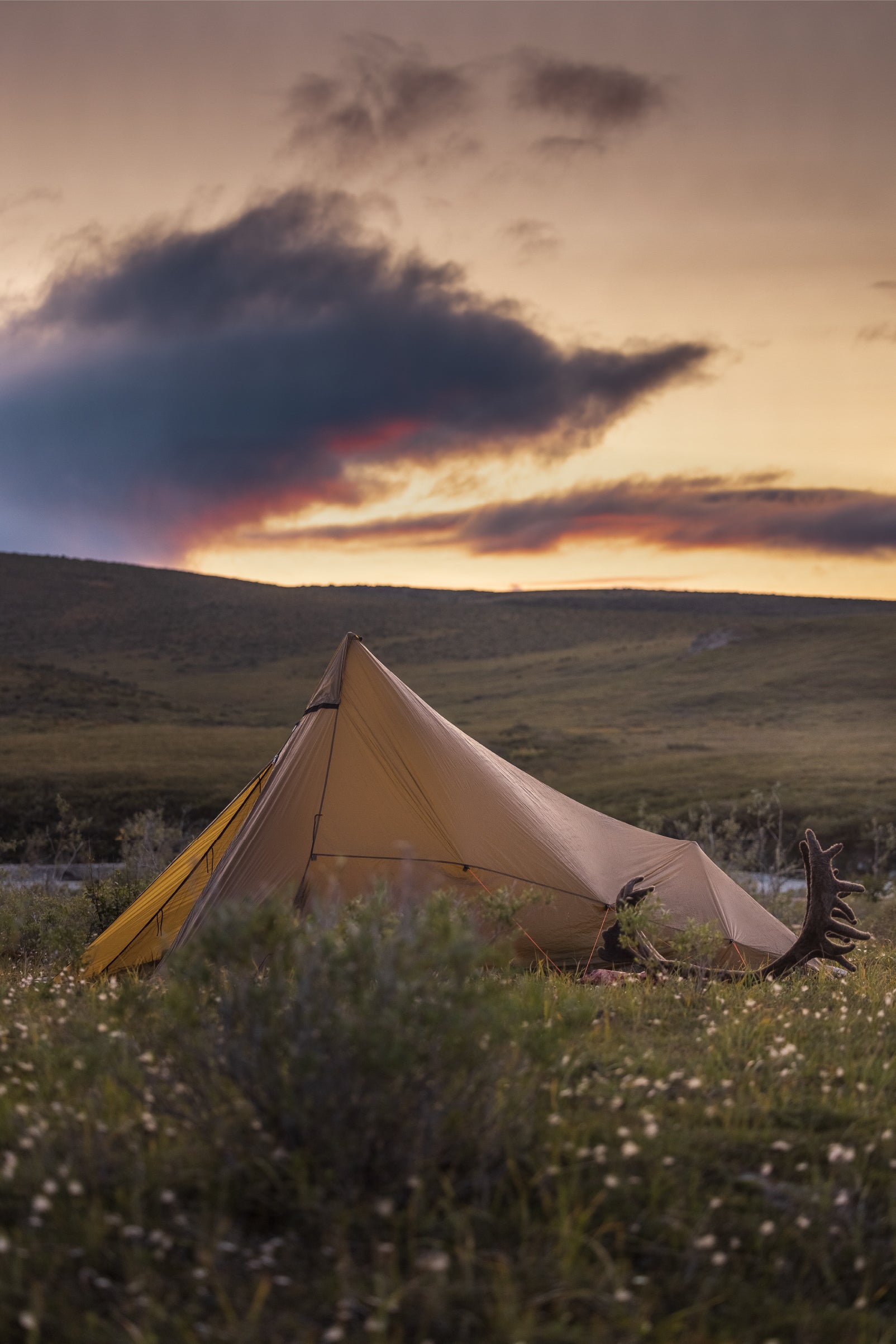A tent with a full view of mesmerizing of sunset