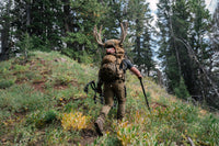 Absaroka