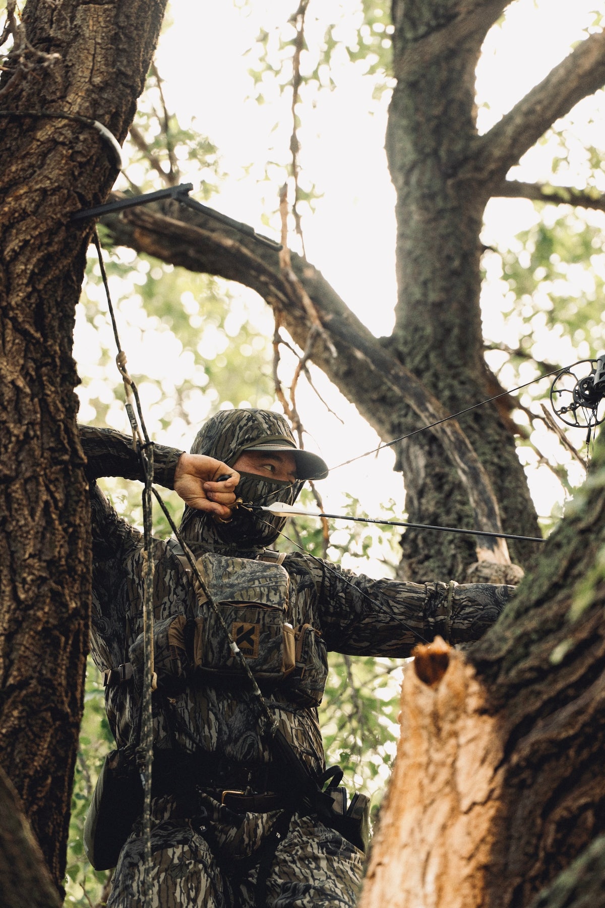 Mesa Bino Harness System