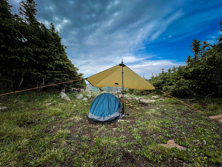 TARP to TARP × WANTKEY CAMP TARP GLASS IMG_1546-scaled_450x450.jpg?v=